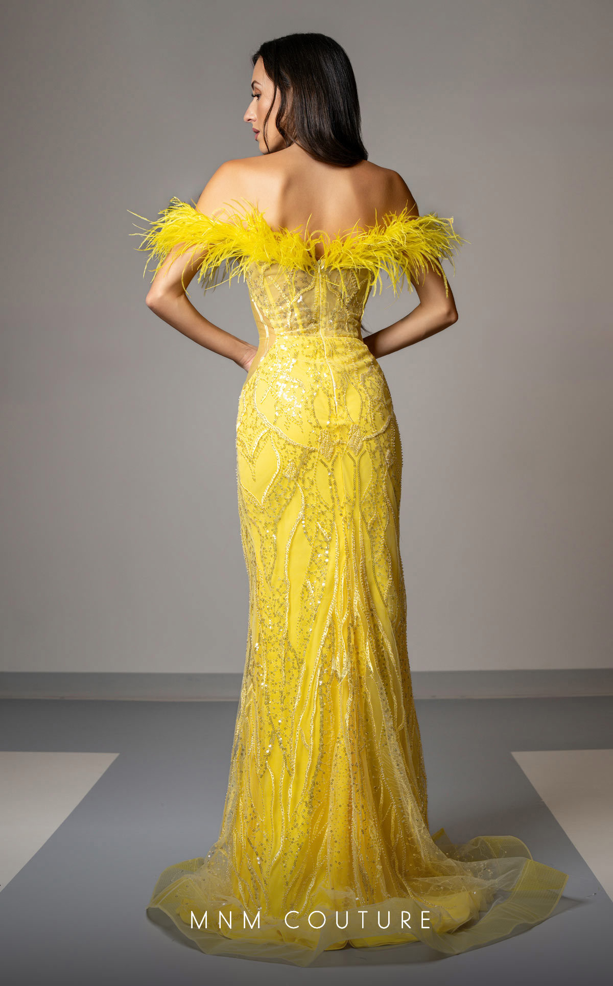 Dress Image