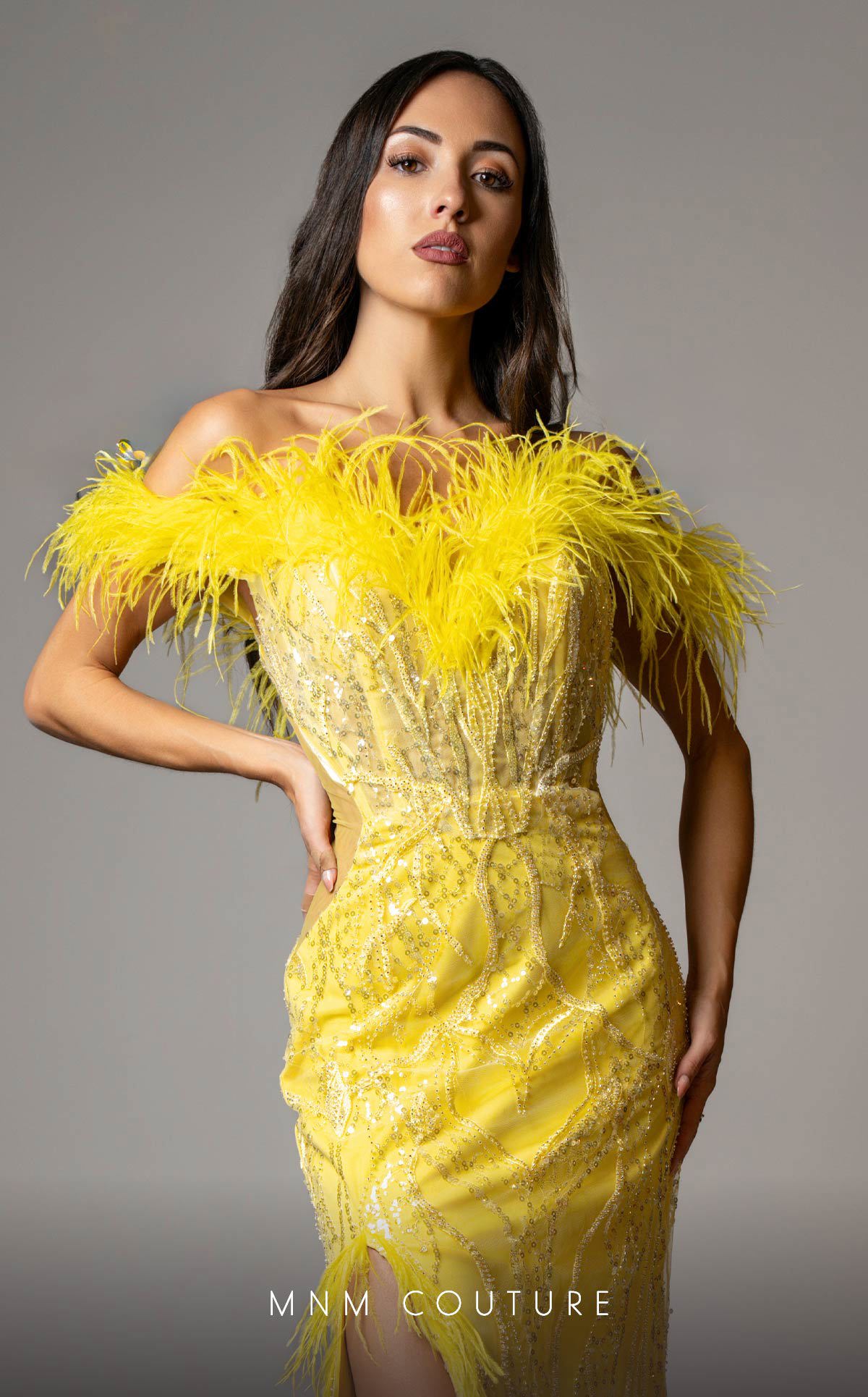 Dress Image