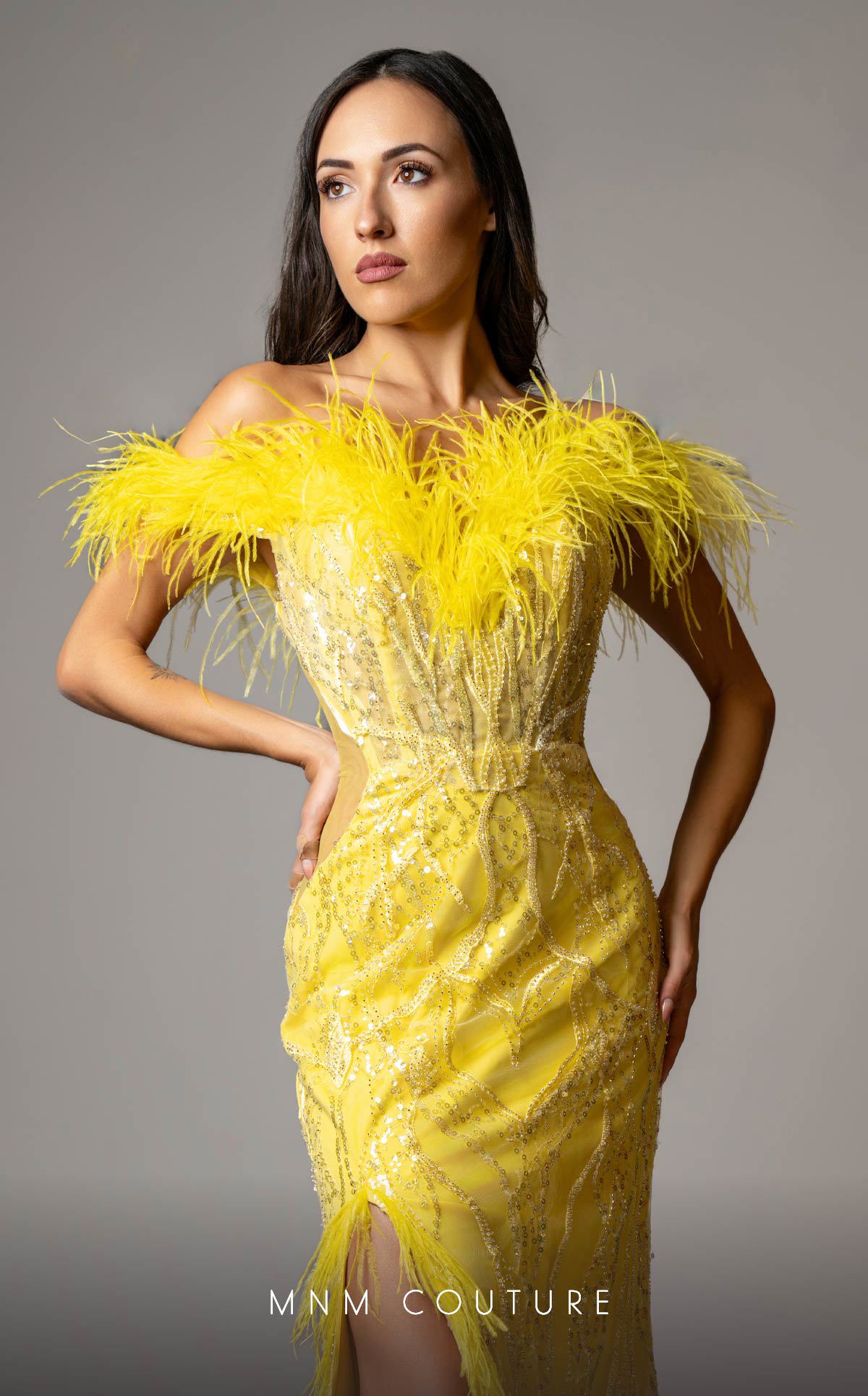 Dress Image