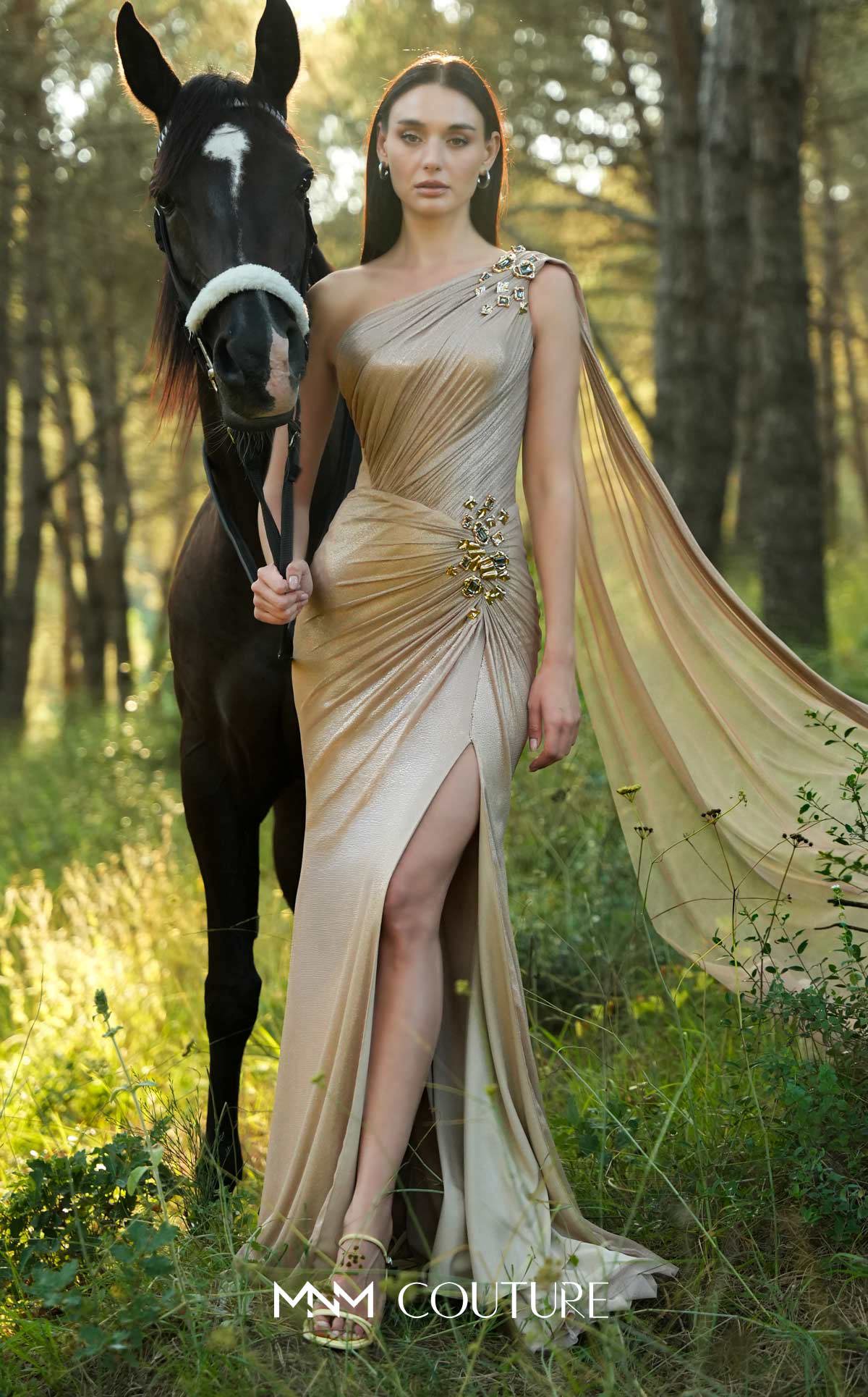 Dress Image