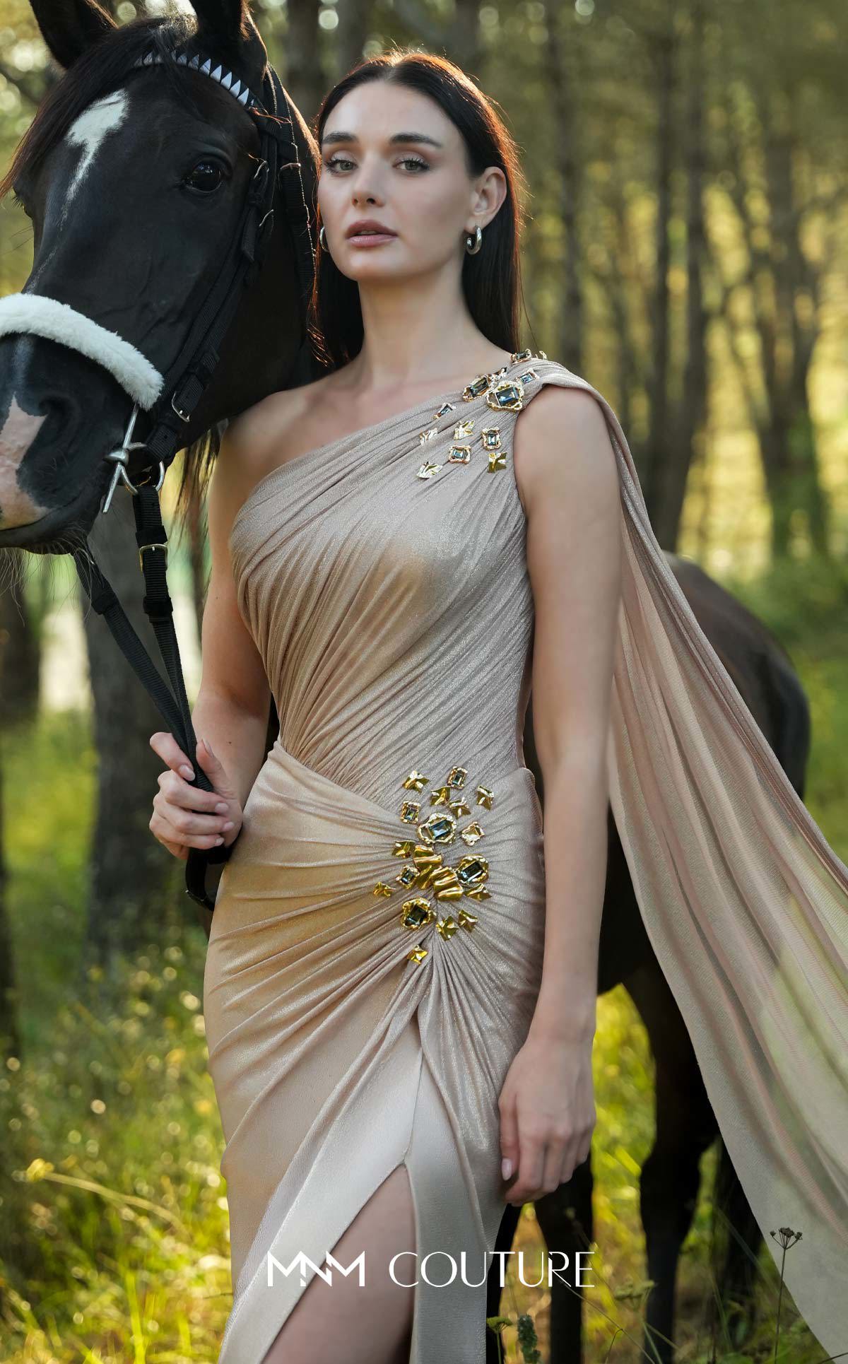 Dress Image